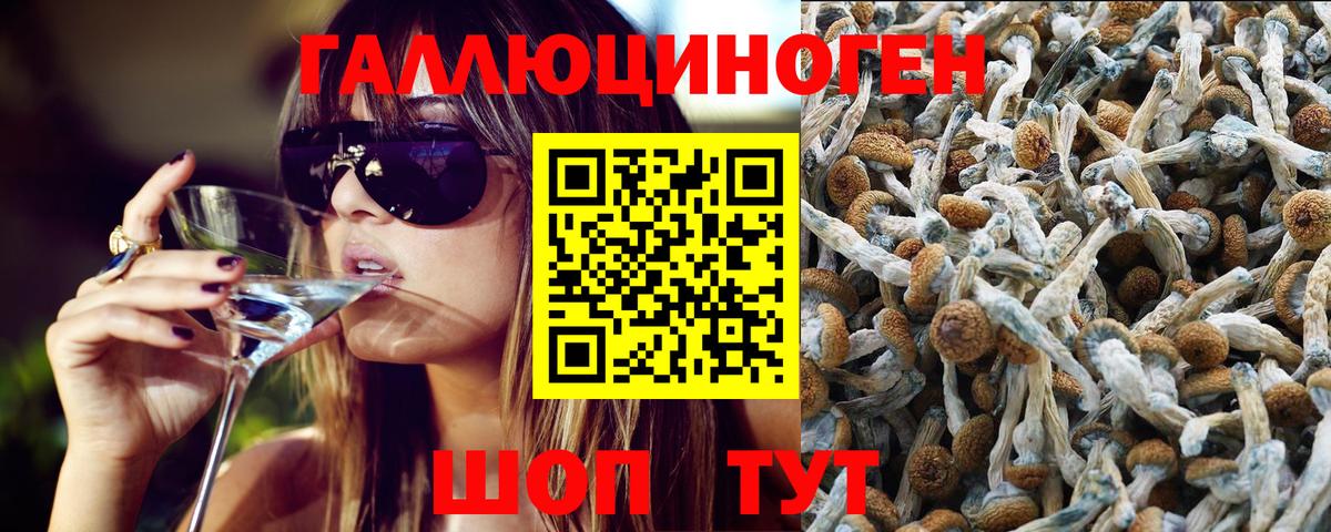Псилоцибиновые грибы Magic Shrooms Переславль-Залесский