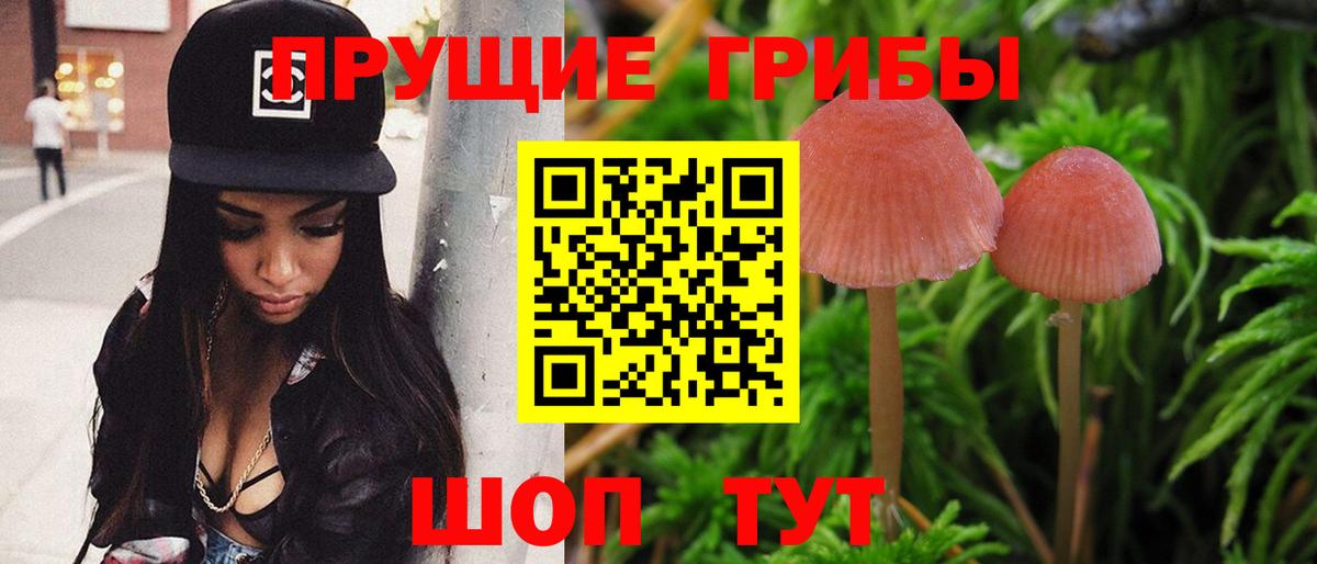 Галлюциногенные грибы Magic Shrooms  Вход с VPN  Переславль-Залесский 